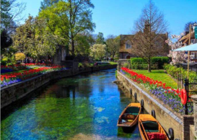 Countryside Annex- Sleeps 2 Free Parking & Garden Daire Canterbury Dış mekan fotoğraf